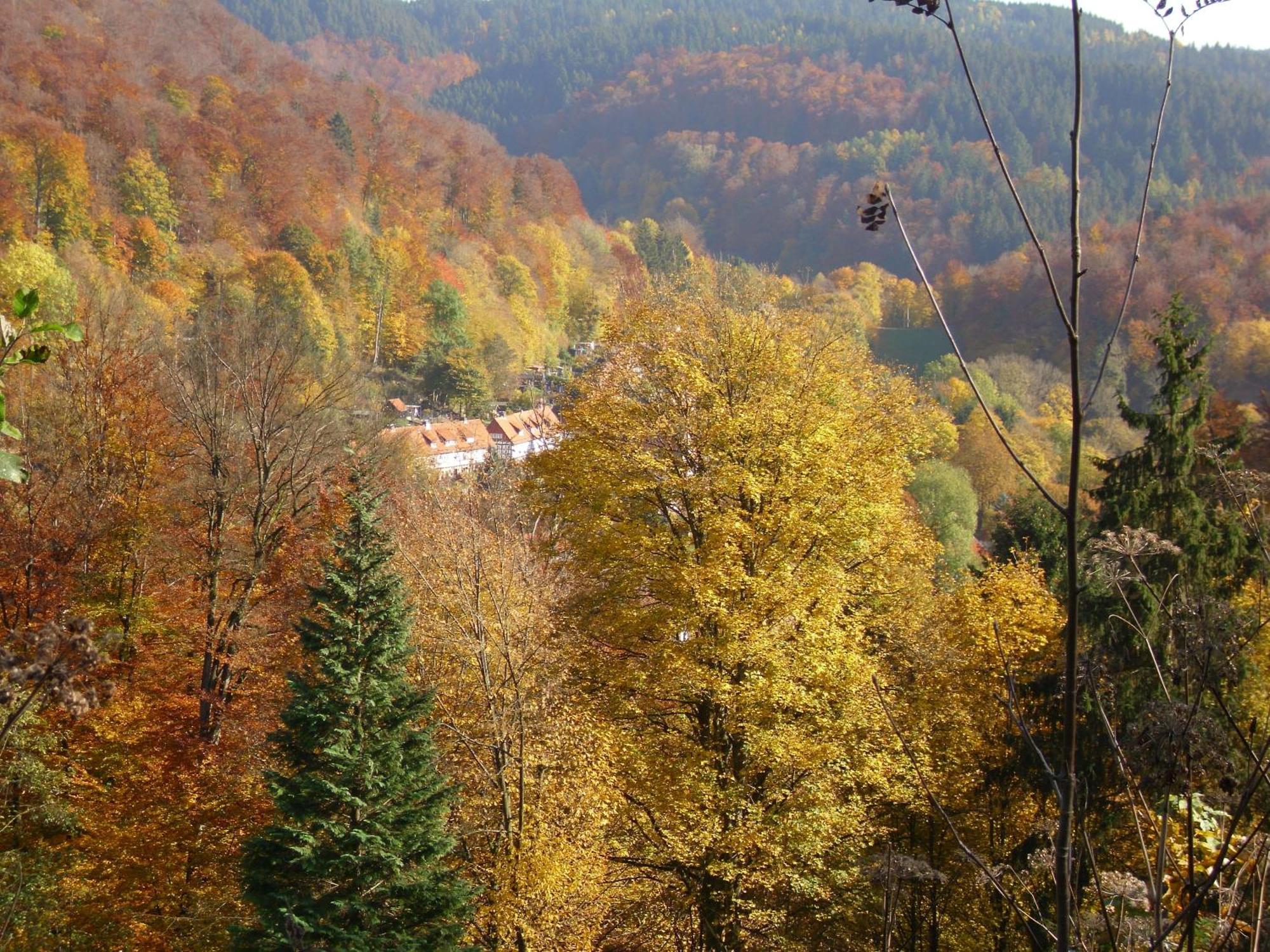 Naturkost-Hotel Harz باد غروند المظهر الخارجي الصورة
