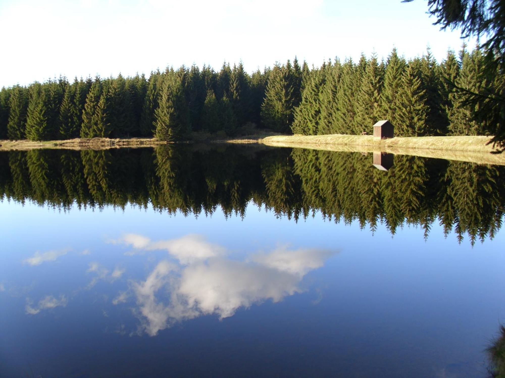 Naturkost-Hotel Harz باد غروند المظهر الخارجي الصورة